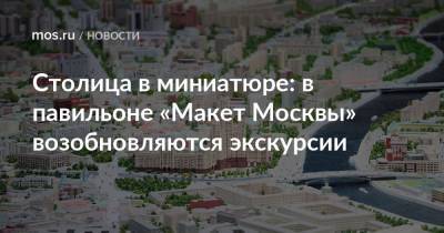 Столица в миниатюре: в павильоне «Макет Москвы» возобновляются экскурсии - mos.ru - Москва