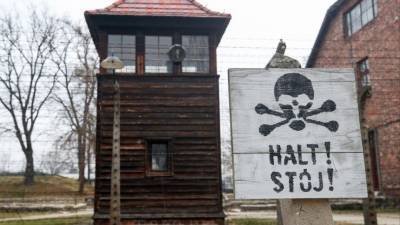 Германия впервые начала расследовать геноцид советских военнопленных — подробности - 5-tv.ru - Германия