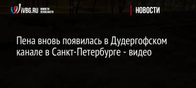 Пена вновь появилась в Дудергофском канале в Санкт-Петербурге — видео - ivbg.ru - Россия - Санкт-Петербург