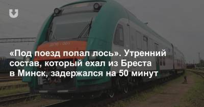 «Под поезд попал лось». Утренний состав, который ехал из Бреста в Минск, задержался на 50 минут - news.tut.by - Минск - Брест
