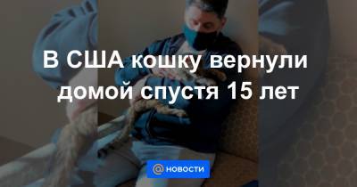 В США кошку вернули домой спустя 15 лет - news.mail.ru - Лос-Анджелес