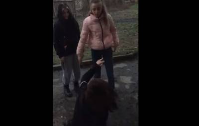 Ставили на колени и оскорбляли: Подростки избили девочку и сняли видео - news.bigmir.net - Кривой Рог