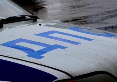 В Михайловском районе осудили пенсионера, побившего двух гаишников - ya62.ru - Рязанская обл.