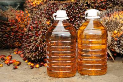 В Украине подготовлен проект закона о запрете пальмового масла - inform-ua.info - Запрет