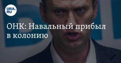 Алексей Навальный - Алексей Мельников - ОНК: Навальный прибыл в колонию - ura.news - Москва - Владимирская обл. - Покров