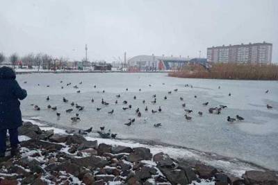 Владимир Владимиров - На Ставрополье не видят риска большой воды - kavkaz.mk.ru - Ставрополье