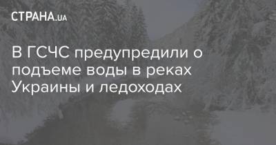 В ГСЧС предупредили о подъеме воды в реках Украины и ледоходах - strana.ua - Черниговская обл. - Гсчс