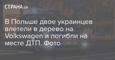 В Польше двое украинцев влетели в дерево на Volkswagen и погибли на месте ДТП. Фото - strana.ua - Польша