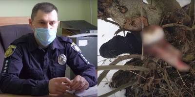 В Золочевском районе собака принес ногу человека - детали расследования, видео - ТЕЛЕГРАФ - telegraf.com.ua - Киев - Львов - Львовская обл. - Никополь - район Золочевский