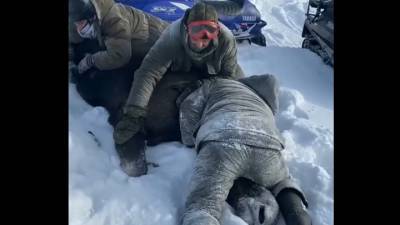 Владимир Бурматов - В Госдуме возьмут под контроль убийство беременной лосихи браконьерами - govoritmoskva.ru - Москва - Тверская обл.