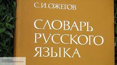 Сергей Лавров - Европарламент признал проблемы с притеснением русских в Прибалтике - politros.com - Москва - Россия - Эстония - Прибалтика