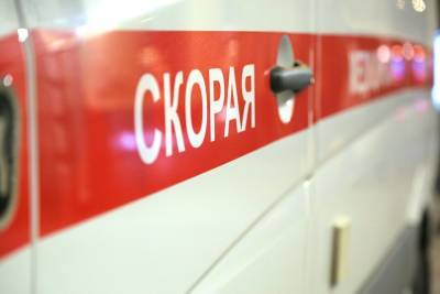 Людмила Нефедова - Ребенок пострадал при обрыве аттракциона в ТЦ на востоке Москвы - m24.ru - Москва