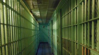 До 20 лет тюрьмы грозит трем насильникам школьницы в Петербурге - nation-news.ru - Санкт-Петербург