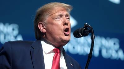 Дональд Трамп - СМИ: Трамп не собирается создавать новую партию в США - polit.info - США