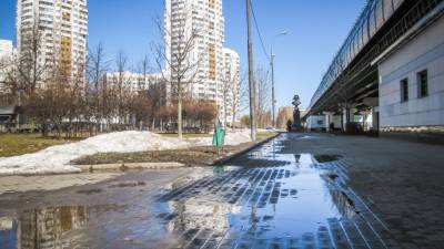 Евгений Тишковец - Москвичей предупредили о наступлении арктических холодов - mir24.tv - Москва