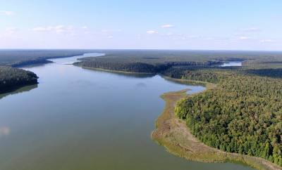 Nature reserve “Lakes”: in the tracks of a mighty aurochs and an orchid at the Holy swamp - grodnonews.by - Belarus