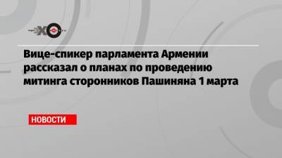 Никола Пашинян - Ален Симонян - Вице-спикер парламента Армении рассказал о планах по проведению митинга сторонников Пашиняна 1 марта - echo.msk.ru - Москва