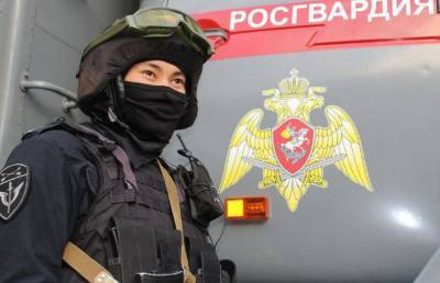 Подполковник Росгвардии сбил 8-летнего мальчика и скрылся - pupolita.ru - Волгоград - Волгоградская обл.