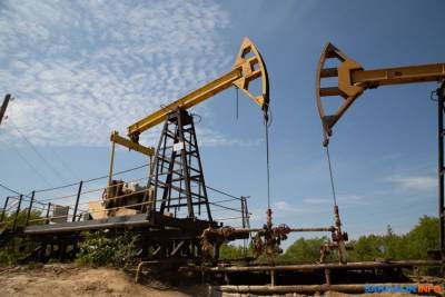 Статистики открыли печальные цифры по добыче нефти на Сахалине - sakhalin.info - Сахалинская обл.