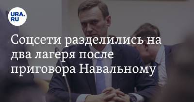 Алексей Навальный - Ив Роше - Соцсети разделились на два лагеря после приговора Навальному - ura.news