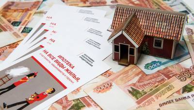 Елизавета Данилова - В ЦБ заявили о необходимости сворачивания льготной ипотеки под 6,5% - gazeta.ru