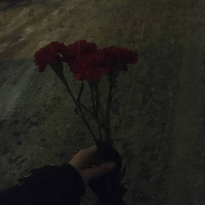Алексей Навальный - Сторонники Навального в Челябинске несут гвоздики к зданиям судов. Задержаны двое - znak.com - Челябинск