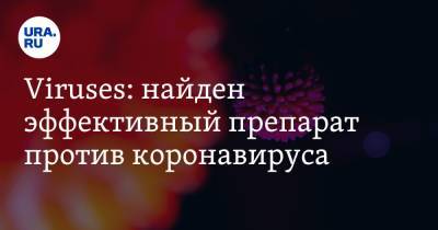 Viruses: найден эффективный препарат против коронавируса - ura.news