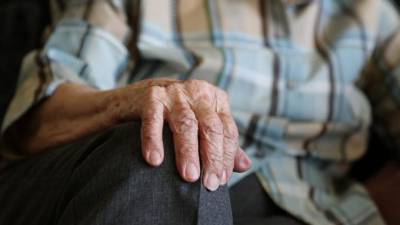 Пенсионеры из Петербурга и Ленобласти за год получат 24 тысячи продуктовых наборов - piter.tv - Ленинградская обл. - Санкт-Петербург