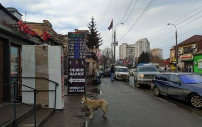 Евро пробило дно, а доллар попер вверх: что происходит с валютой - akcenty.com.ua - США
