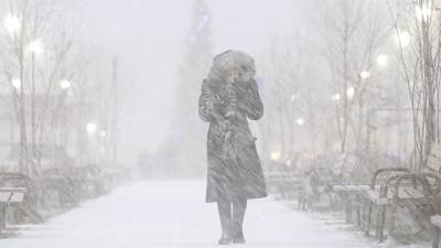 Евгений Тишковец - В Москве и Подмосковье ожидается метель - vesti.ru - Москва - Московская обл. - Невельск