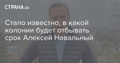 Алексей Навальный - Ив Роше - Стало известно, в какой колонии будет отбывать срок Алексей Навальный - strana.ua - Москва - Украина