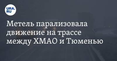 Метель парализовала движение на трассе между ХМАО и Тюменью - ura.news - Ханты-Мансийск - Тюмень - Тюменская обл. - Югра