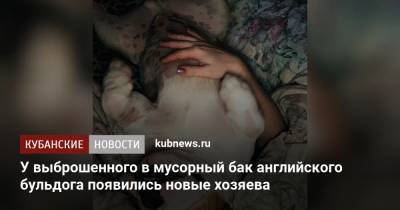 У выброшенного в мусорный бак английского бульдога появились новые хозяева - kubnews.ru - Краснодар