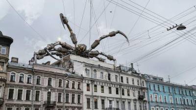 На крыше дома в центре Петербурга "заметили" огромного паука - piter.tv - Санкт-Петербург