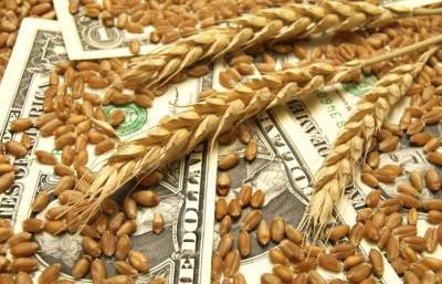 Прогноз: Украину ожидает новый экспортный рекорд - agroportal.ua