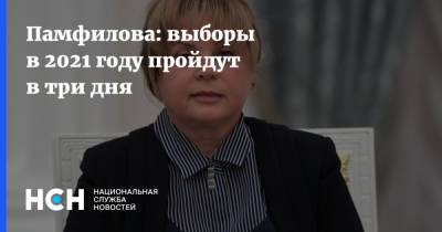 Элла Памфилова - Памфилова: выборы в 2021 году пройдут в три дня - nsn.fm