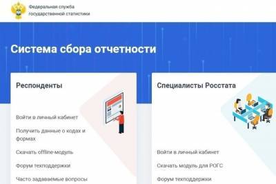 Экономическая перепись малого бизнеса проходит в Псковской области - mk-pskov.ru - Псковская обл. - Псков