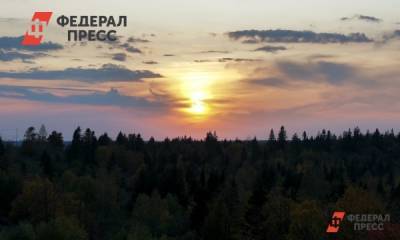 Активисты снова пытаются спасти дубы в Волго-Ахтубинской пойме - fedpress.ru - Москва - Волгоград - Волгоградская обл.