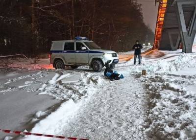 Учительницу математики жестоко убили в Воронеже - m24.ru - Воронеж