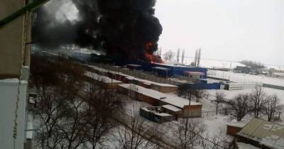Пожар в Эпицентре: задержанному грозит пожизненное заключение (ВИДЕО) - vedomosti-ua.com - Николаевская обл. - Первомайск
