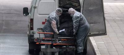 Каждый день в России от коронавируса умирают больше 500 человек - stolicaonego.ru