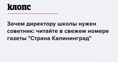 Зачем директору школы нужен советник: читайте в свежем номере газеты "Страна Калининград" - klops.ru - Калининград