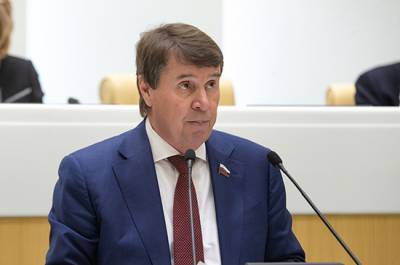 Владимир Зеленский - Сергей Цеков - Цеков назвал импичмент Зеленскому трудноосуществимым - pnp.ru - Крым