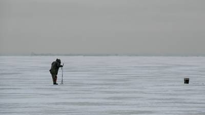 Первоклассники провалились под лед в Нижегородской области - nation-news.ru - Нижегородская обл. - Югра - район Кстовский