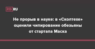 Илон Маск - Михаил Лебедев - Не прорыв в науке: в «Сколтехе» оценили чипирование обезьяны от стартапа Маска - rb.ru