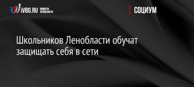 Школьников Ленобласти обучат защищать себя в сети - ivbg.ru - Ленобласть