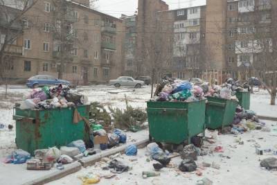 Ясиноватая стала лидером по количеству стихийных свалок в ДНР - mk.ru - ДНР
