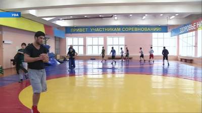 Башкирские спортсмены готовятся к первенству ПФО по греко-римской борьбе - bash.news - Башкирия - Уфа - окр.Приволжский