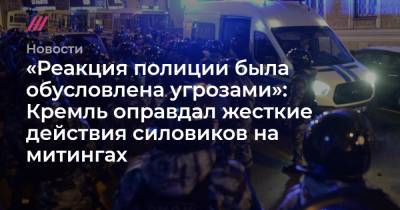 Алексей Навальный - «Реакция полиции была обусловлена угрозами»: Кремль оправдал жесткие действия силовиков на митингах - tvrain.ru