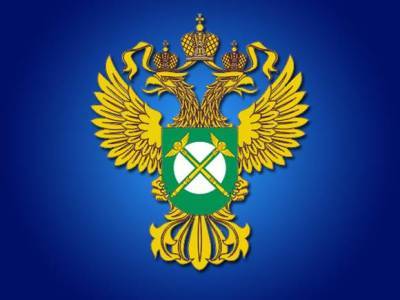 Сделка «Яндекса» и группы «Везет» попала под прицел ФАС - rosbalt.ru